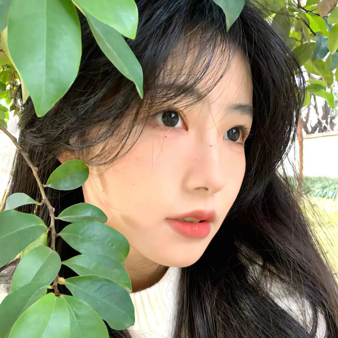 黑社会以和为贵